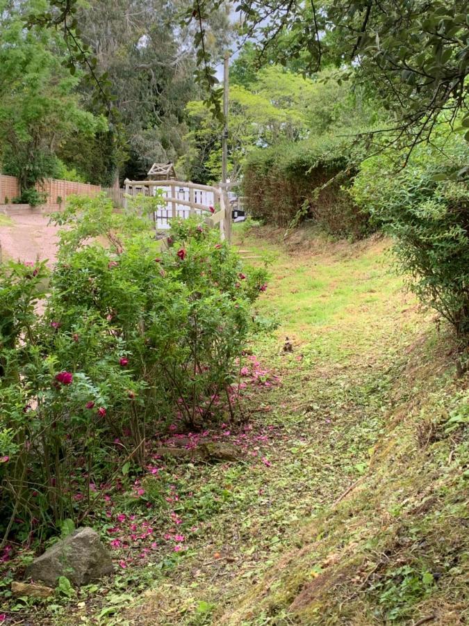 Hedgehog Lodge Colwall Bagian luar foto